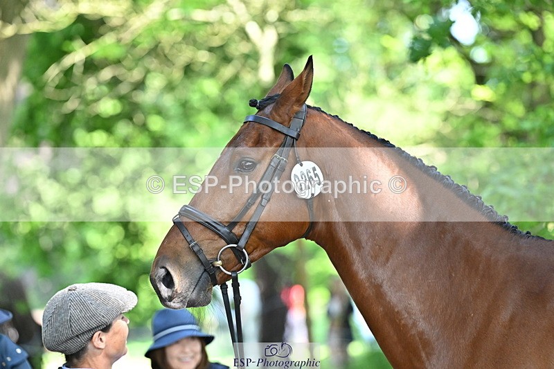 250521A-161914-01058 - C-267-Jeanette.Brakewell-PRIMIRO