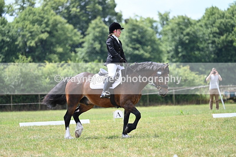 WJ7_5686 - Time 11:52 to 12:10