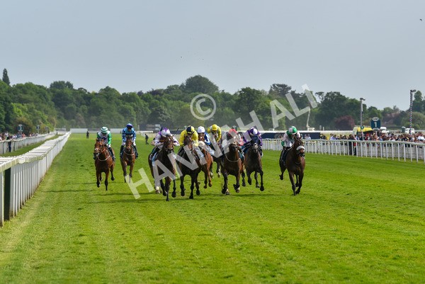 270523-Race 6-Quantum Impact-4533 - Race 6 4.25pm Royal Yorkshire Regiment Handicap