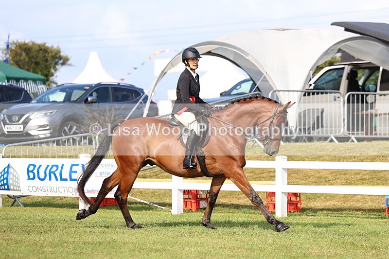 3E7A8421 - Class 2: Rising Star Large Hack/Riding Horse