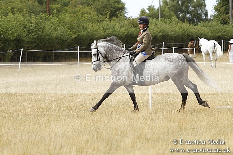 _BS_1034 - Working Hunter Championship BVRC Show 2018