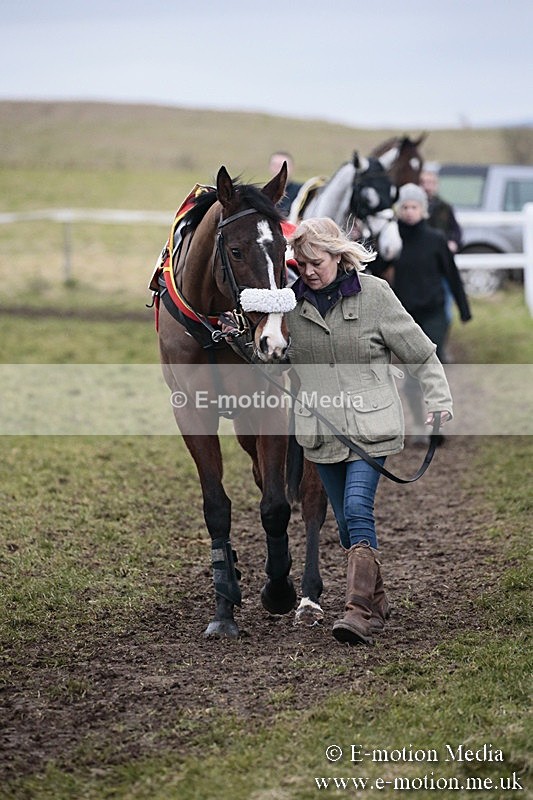 PtP 180218 686 - Combined Services Point-to-Point Larkhill 18/02/18