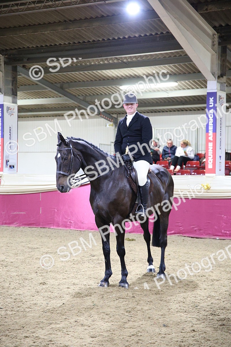 5K7A1559 - Class O Ridden Show Horse Champ