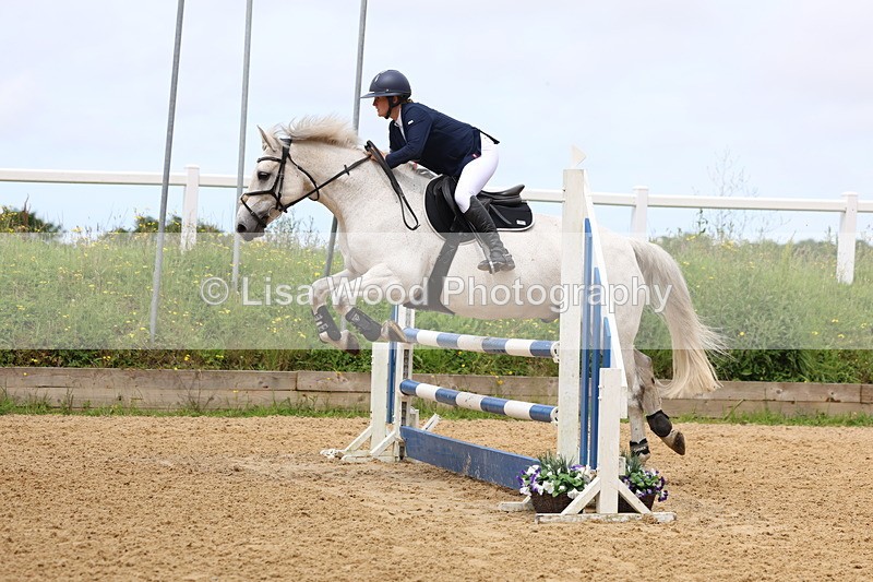 3E7A6324 - Class 4: Senior British Novice/90cm open