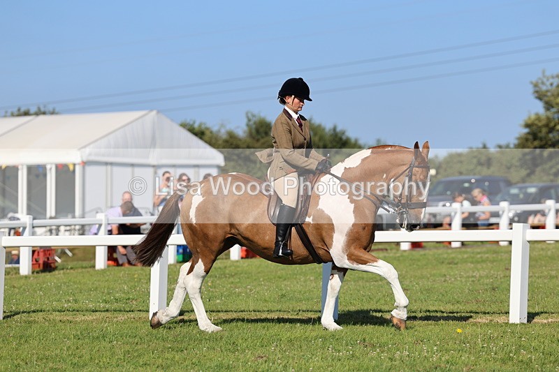IMG_1440 - Class 29:  Ridden Native/Trad Coloured Horse