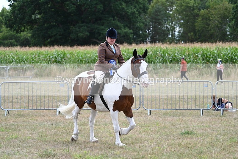 WJ7_5673 - Class 12 Ridden Cob