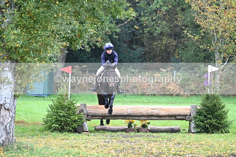 WJ7_2993 - Time 10:47 to 11:11 at the water