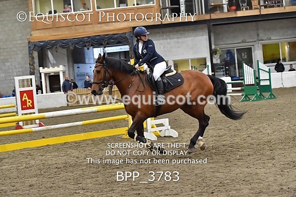 BPP_3783 - FRI CLASS 21 BR NOVICE/90CM