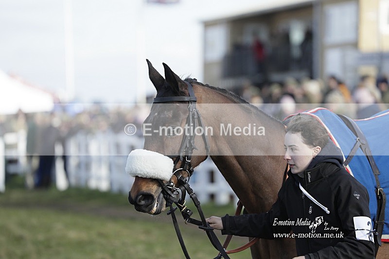 PtP 260223 879 - South & West Wilts Point-to-Point Larkhill 26/02/23