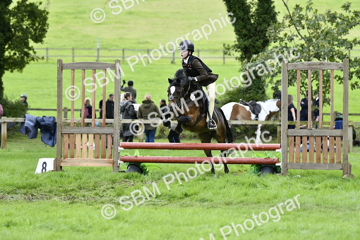 SBM_41273 - S32 - Mountain & Moorland Working Hunter Pony