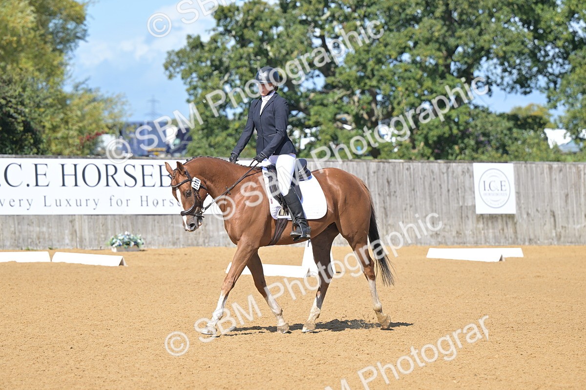 SBM_04000 - D2 - Small Tour Championship Intro 2