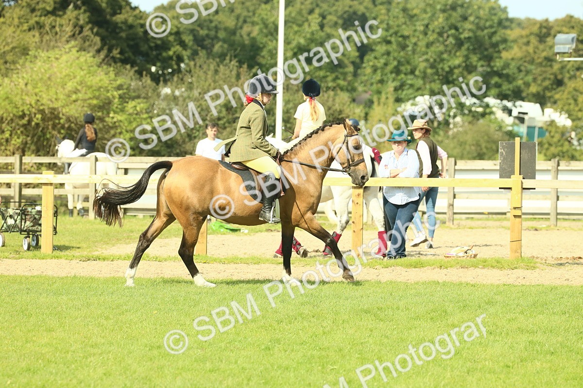 SBM_68864 - S58 - Mini Show Cob Ridden