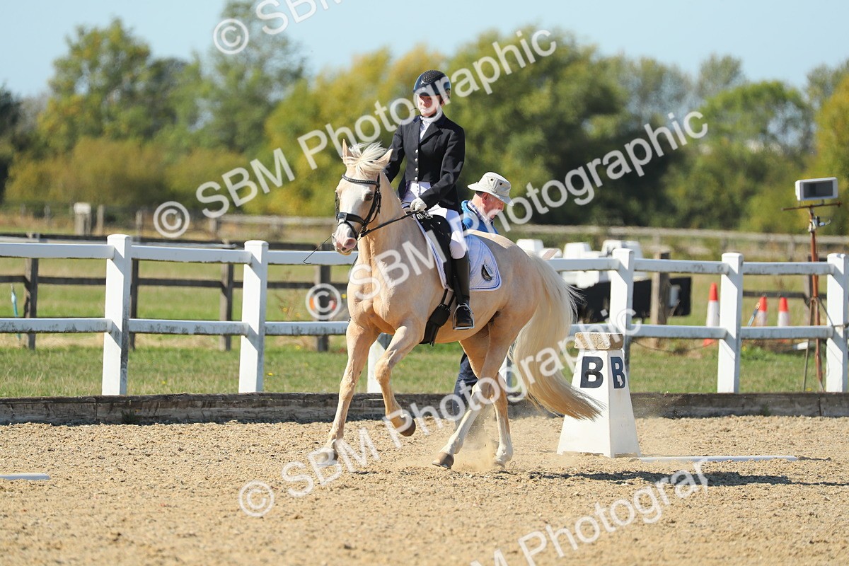 SBM_001358 - Class 5 - N5