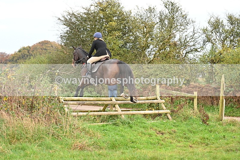 WJ7_0304 - Camera 1 & Last fence