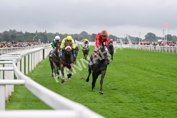 080924-Race 3-Brighton Boy-9054 - Race 3 2.50pm Irish Thoroughbred Marketing Nursery Handicap