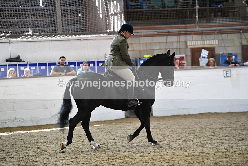 WJ5_6078 - Class 9 Ridden Veteran