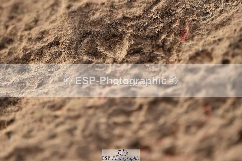 231015A-161000-09247 - Cls 27 1.10m Amateur Q 2nd R