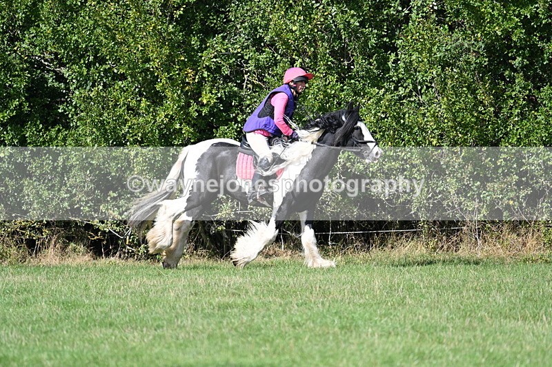 WJ7_0164 - Time 12:53 to 13:03