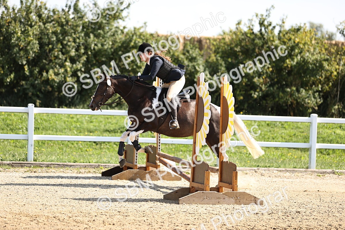 SBM_001210 - AE - 50cm