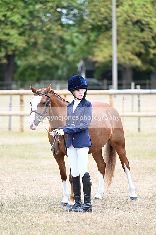 WJ7_8122 - Class 4 Prettiest Mare up to 14.2hh