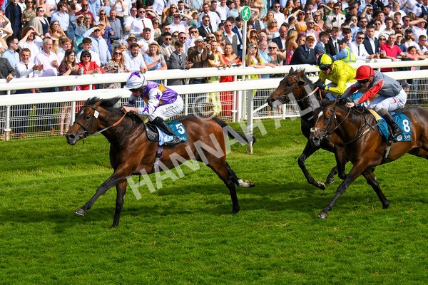270523-Race 6-Quantum Impact-0892 - Race 6 4.25pm Royal Yorkshire Regiment Handicap