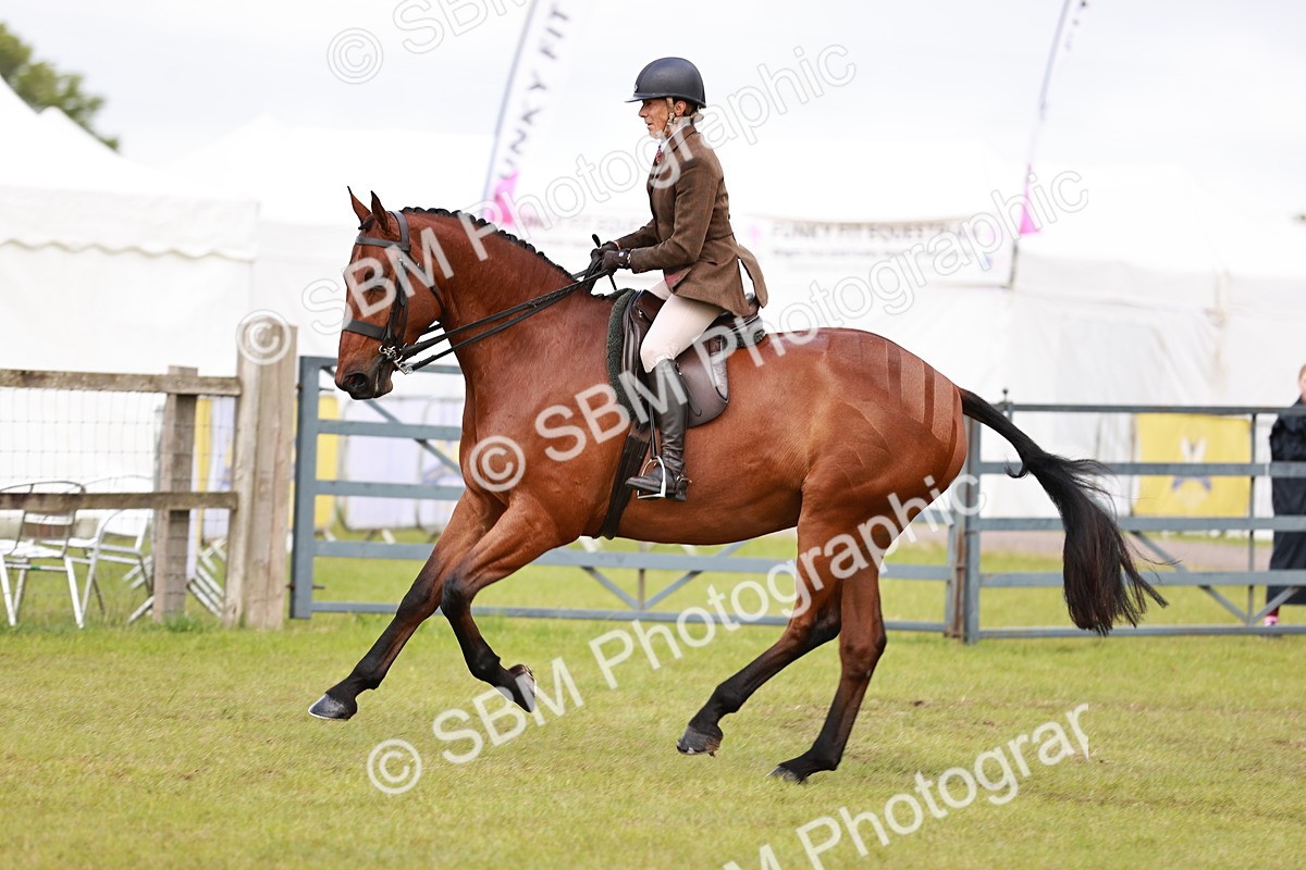 SBM_10788 - Class 81-84 - RIHS Ridden hunters Inc Ladies Hunter