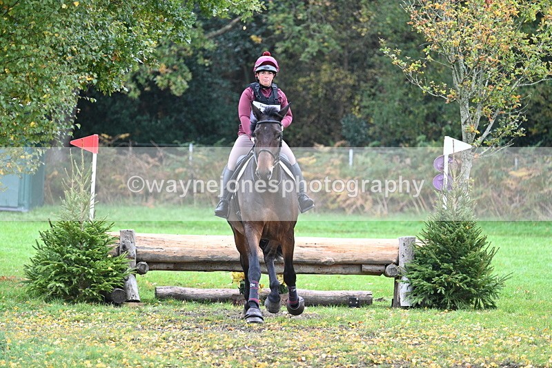 WJ7_3307 - Time 11:13 to 11:32