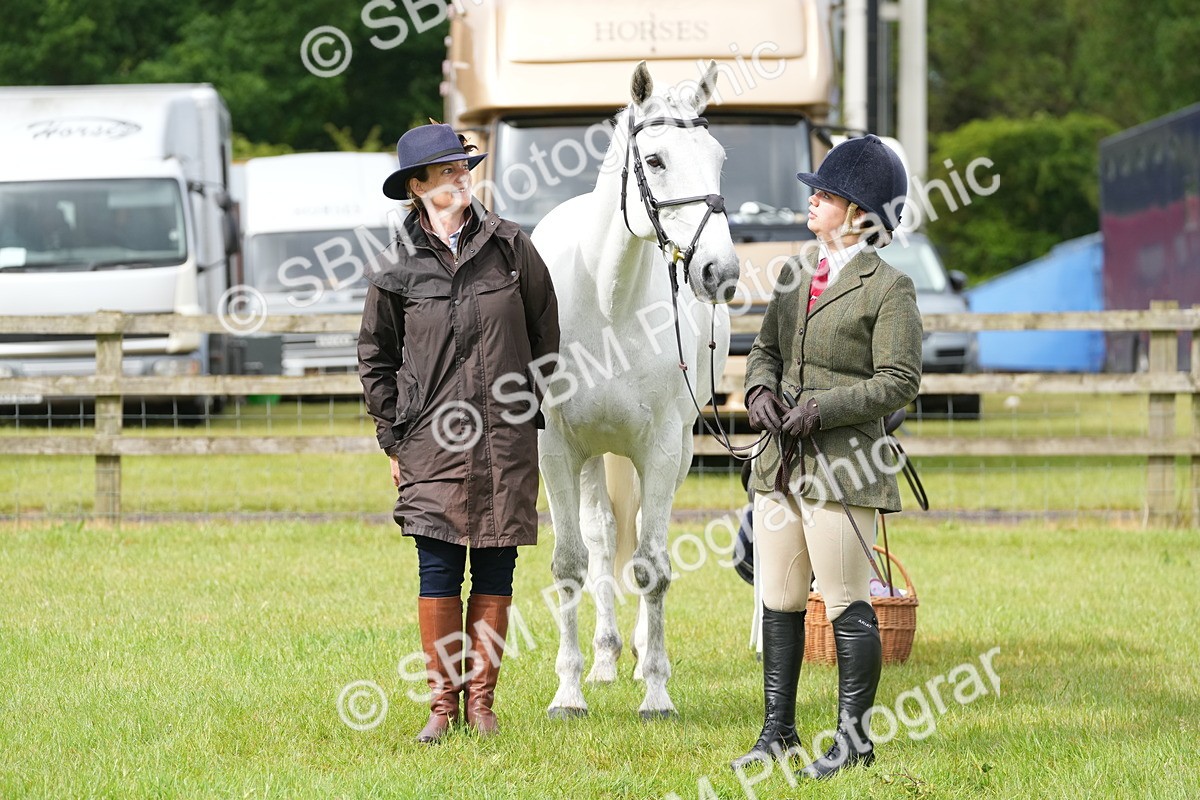 SBM_12722 - Class 97-98 - LIHS BSHA Rising Star Working Show Horse Hunter