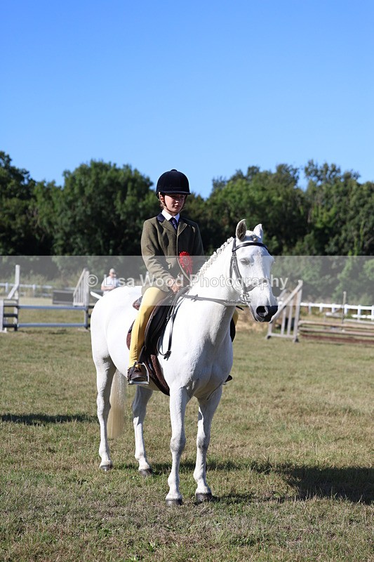 3E7A5391 - Class 2: Working Hunter 60cm
