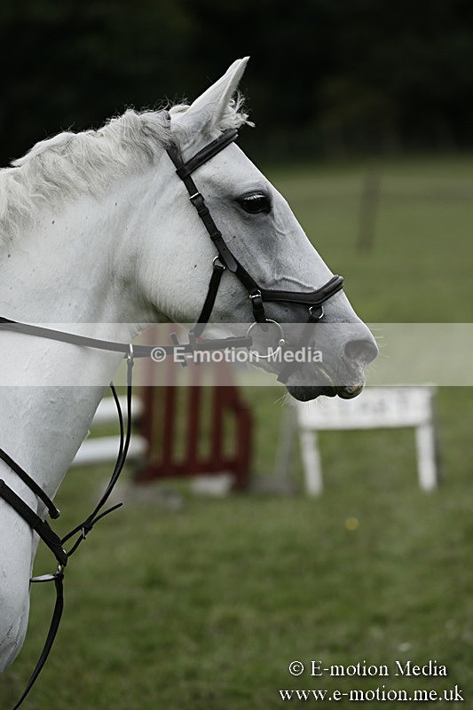 BVR080918 447 - BVRC Novice Dressage & CR 08/09/18