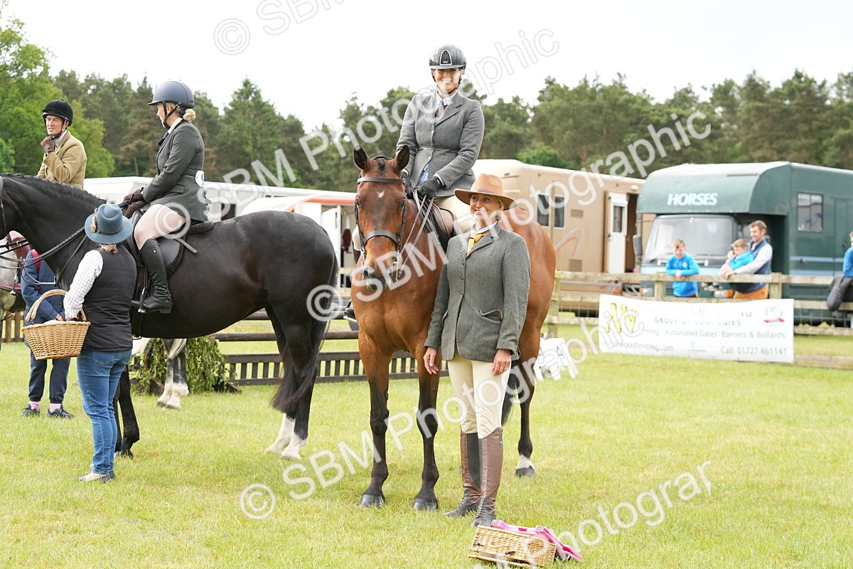 SBM_12793 - Class 97-98 - LIHS BSHA Rising Star Working Show Horse Hunter