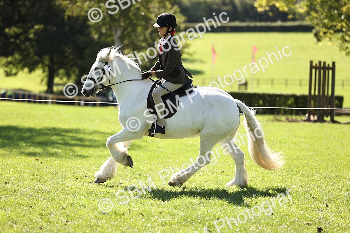SBM_19326 - S3 - TSR Ridden Pony Showing