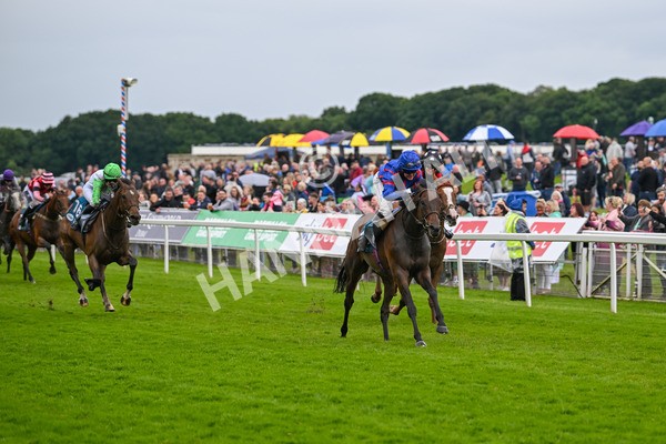 150624-Race 1-Lord Melbourne-6719 - Race 1 1.50pm Queen Mother's Cup Handicap