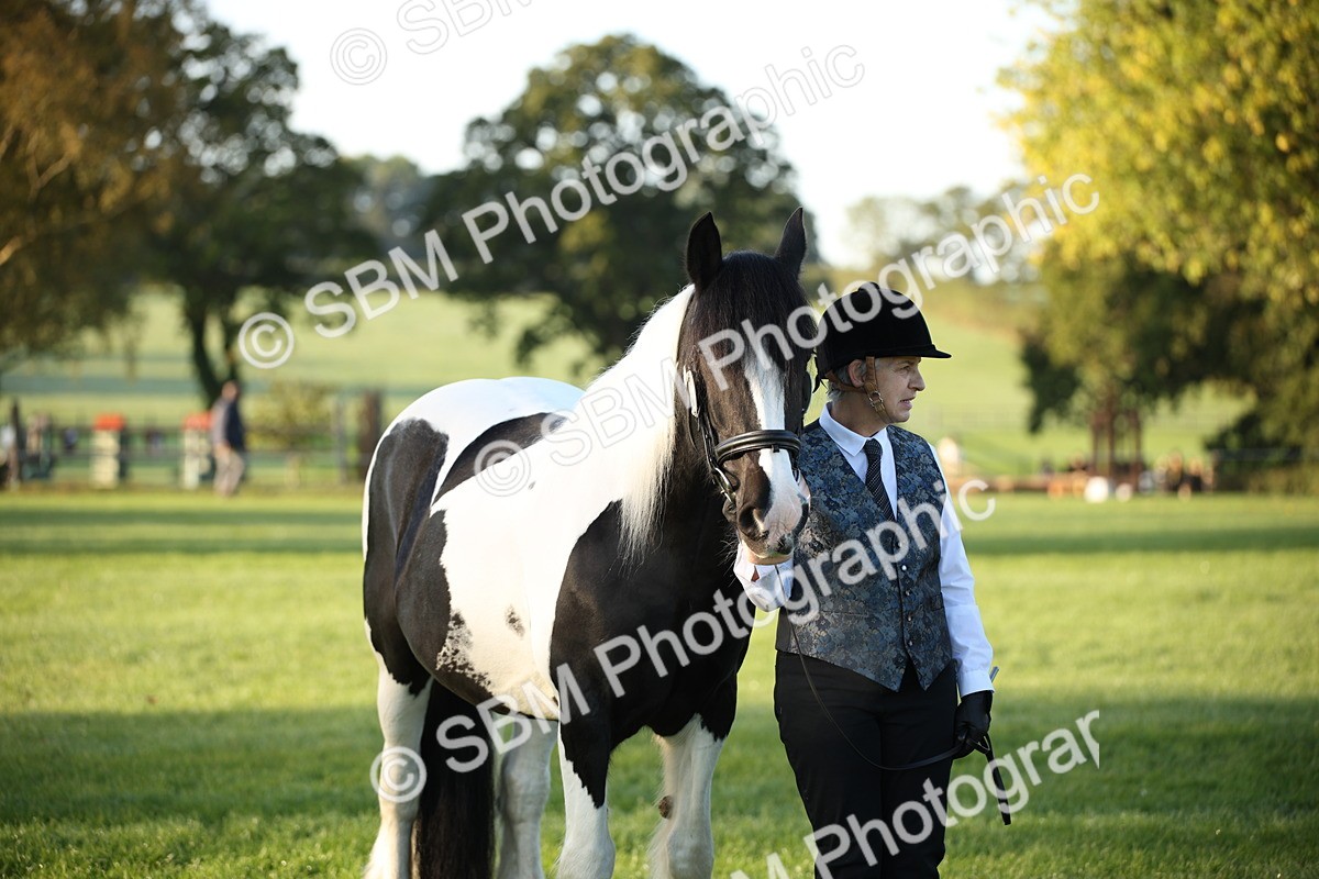 SBM_32301 - S8 - Best Turned Out