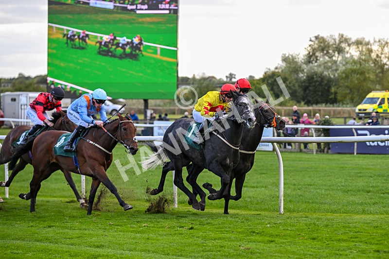 171026-Race 5-Brighton Boy-5972 - Race 5 3.25pm William Hill Epic Boosts Handicap (Div I)