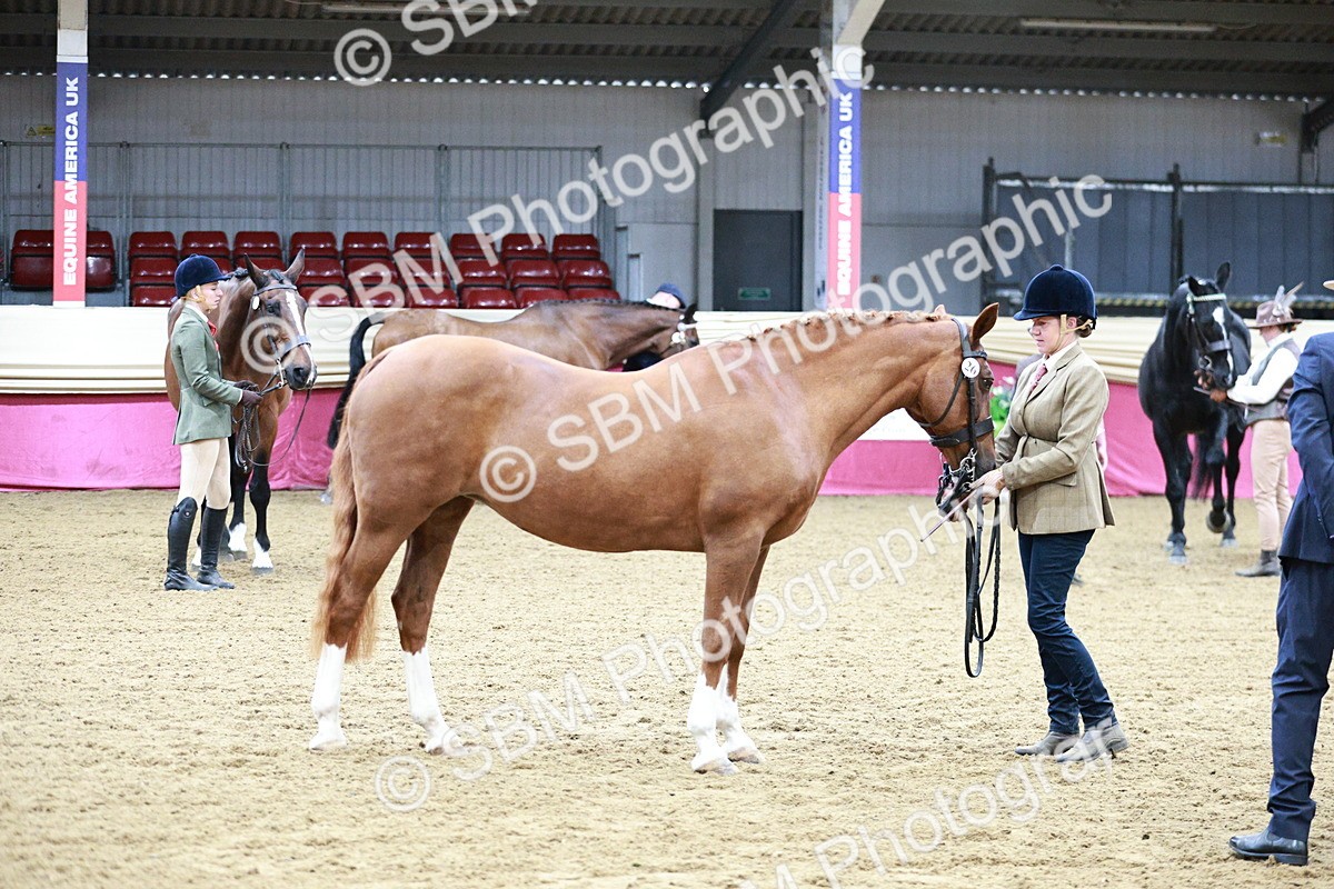 SBM_00257 - Class 1A - Area IH Diamond