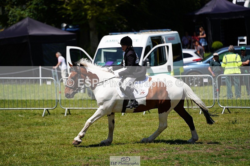 240629X-125628-4979 - 213-Deborah_Shields-JACKY_BOY