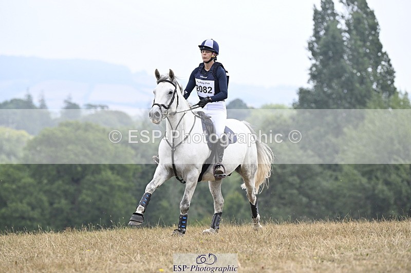 250824A-122013-36325 - 2082-Lisa.Plumb-Ringo