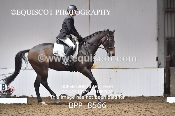 BPP_8566 - NOVICE 4 BD