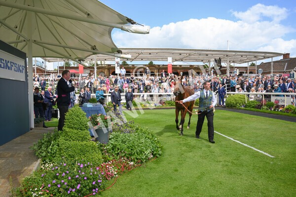 yr10062022r2-50 - Race 2 2.30pm SKF Rous Selling Stakes