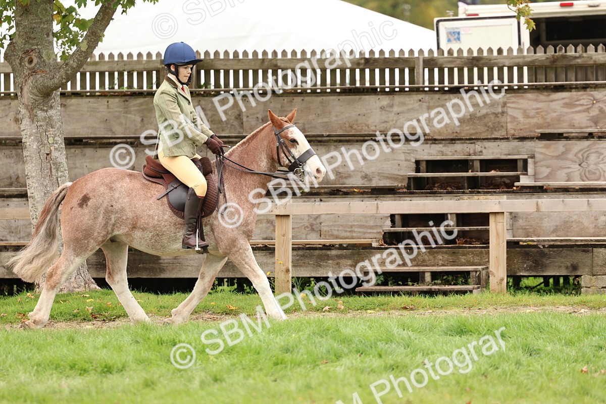 SBM_64625 - S58 - Coloured Pony Ridden