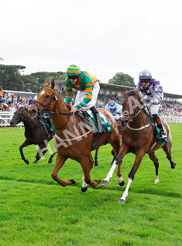 250725-Race 6-Irish Dancer-88885 - Race 6