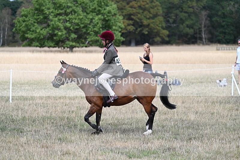 WJ7_5821 - Class 13 Ridden Veterans