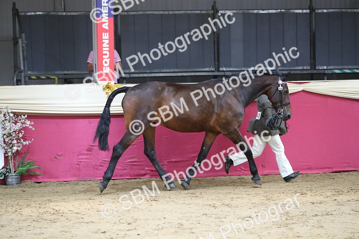 SBM_06273 - Class 9R Regional- IH Pre Vet