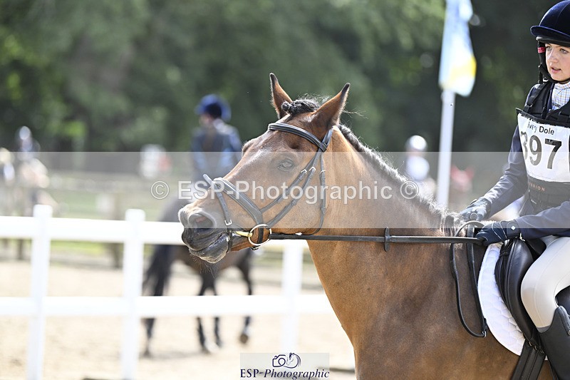 240823X-125643-17296 - 60cm R2 12.30 to 14.40 - All Photos