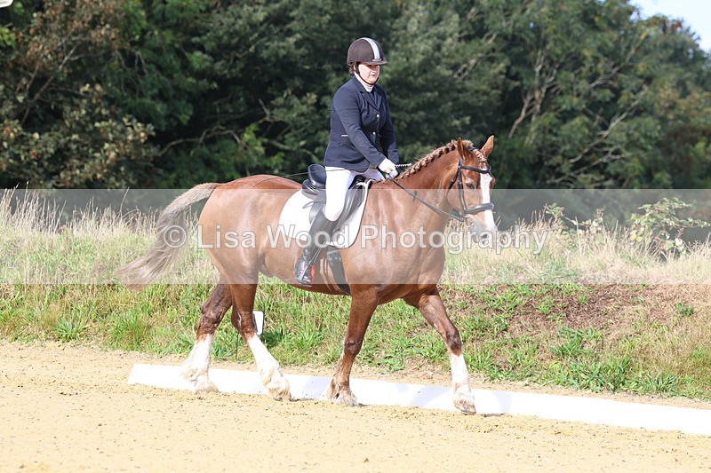 3E7A2230 - Class 1: Intro 4 2024 section A