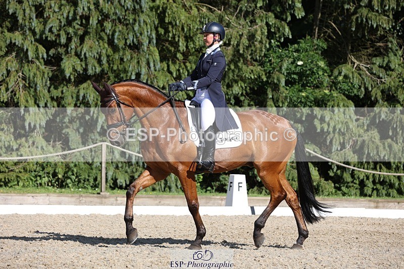 230526-171712-07942 - 177-ARGENTINO_BK-Dani_Evans-WEDTrotUp+DR