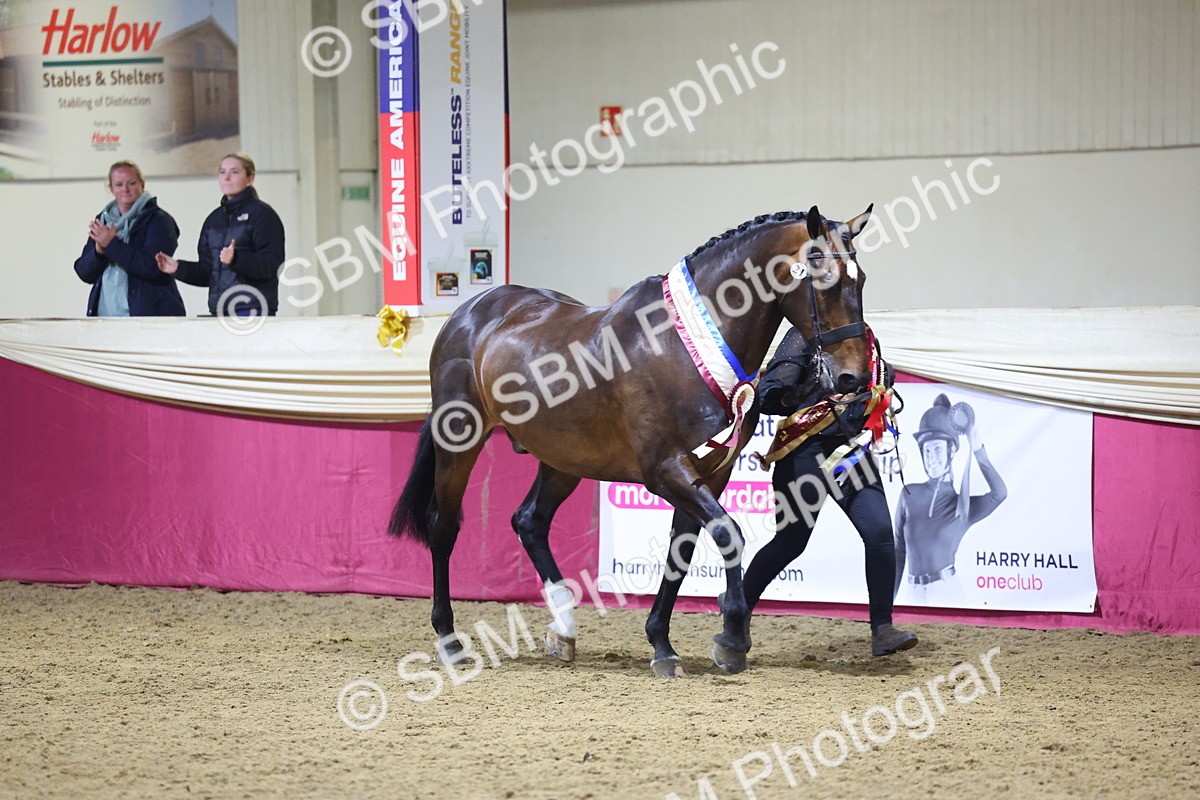 0B8A4559 - Class P Veteran Champ