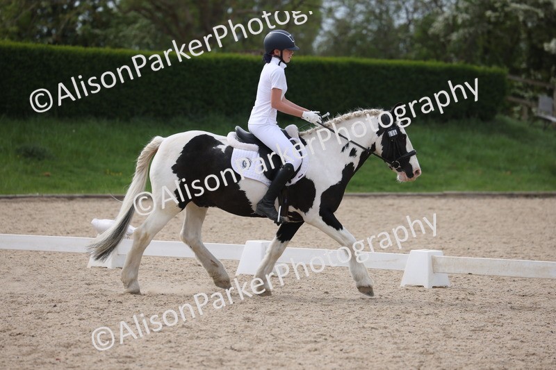 20260502-1074 - Class 9 - Novice 1