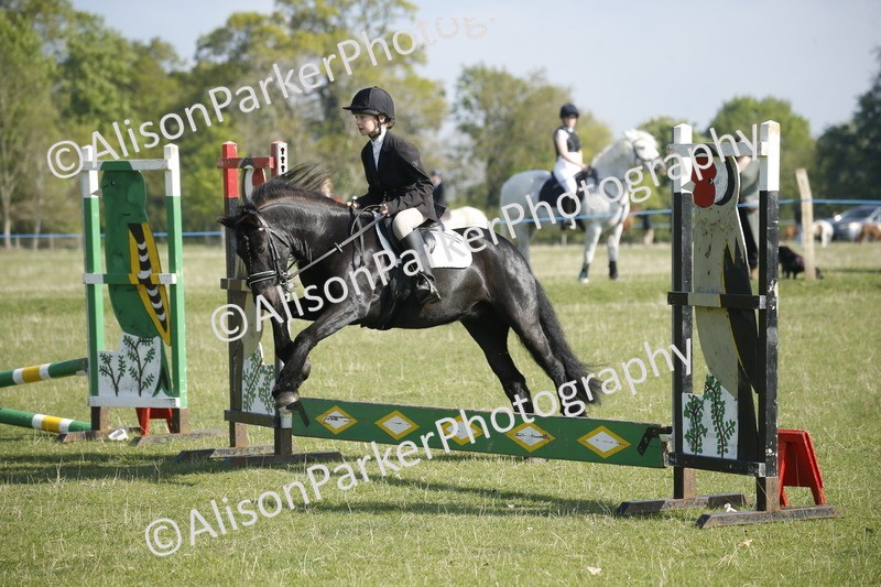 20250427-0325 - Class 12 - Rookie Jumping 40cm